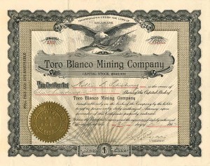 Toro Blanco Mining Co.